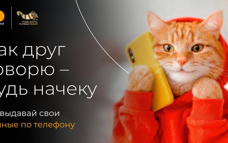 Билборд Кот горизонтальный.jpg